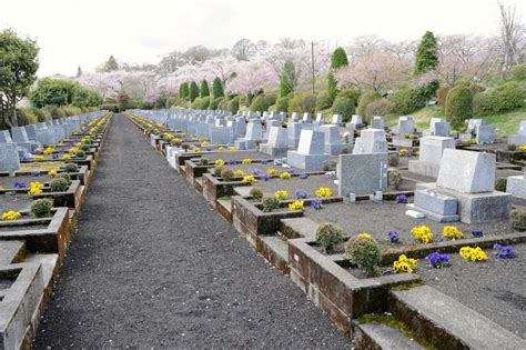 墓 植物|お墓周りにお花や木を植えてもいい？おすすめの木や花5つ。